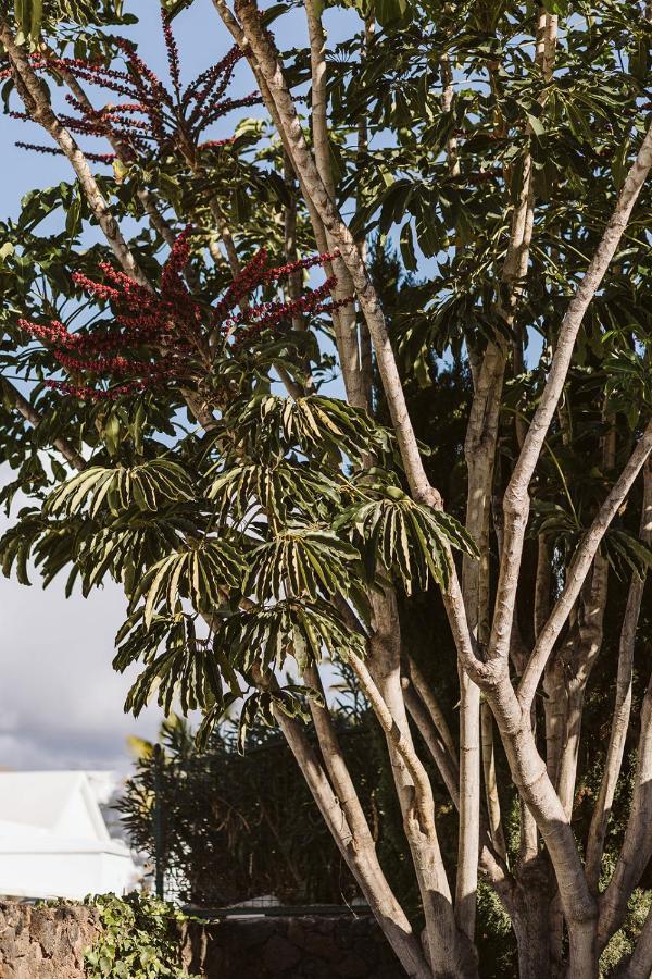 La Manana Villa ปูแอร์โตเดลคาร์เมน ภายนอก รูปภาพ